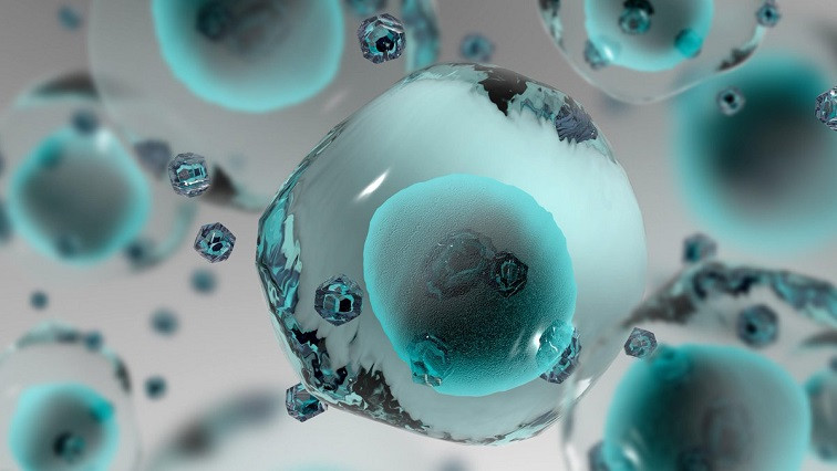 Penn Medicine Researchers Develop New Method to Increase Effectiveness of Nanomedicines