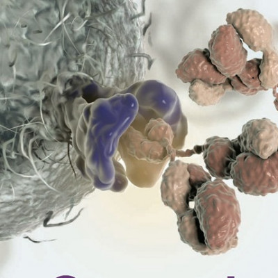 Nanoparticle Therapeutic Enhances Cancer Immunotherapy