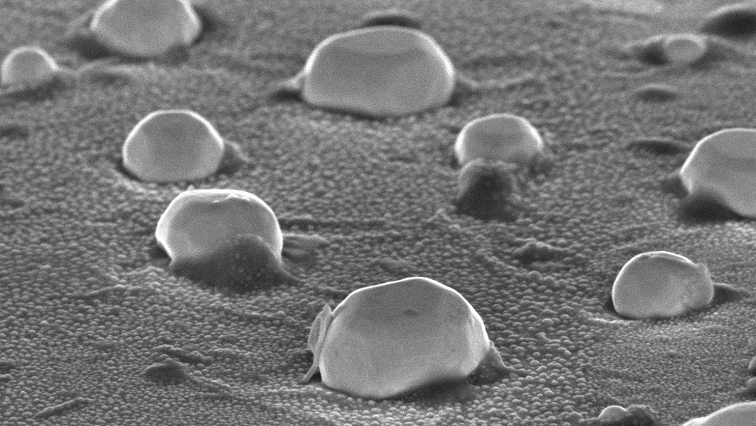 Metallic Nanocatalysts: What Really Happens During Catalysis