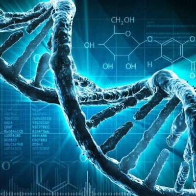 DNA Nanostructures Get a Major Upgrade