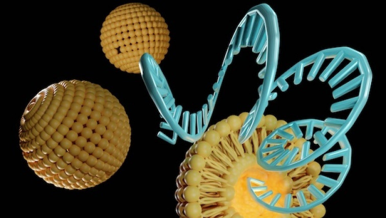 Penn’s Siloxane-enhanced Nanoparticles Chart a New Path in Precision mRNA Medicine