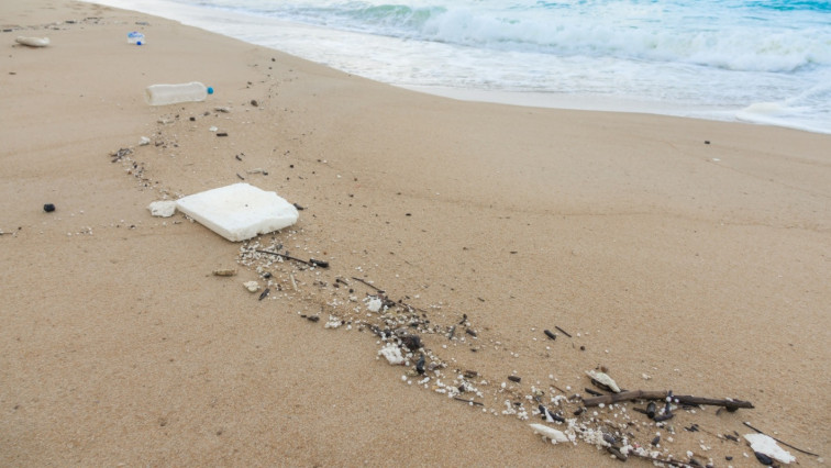 Polystyrene Nanoparticles Under the Microscope: Intensifying Mortality in Polluted Waters