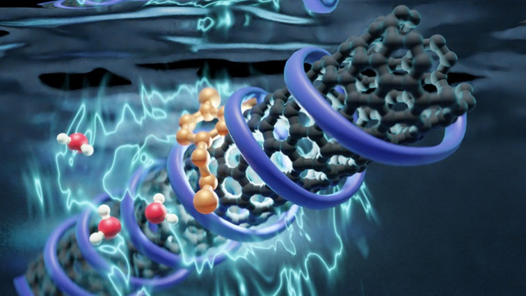 Local Solvation is Decisive for Fluorescence of Biosensors