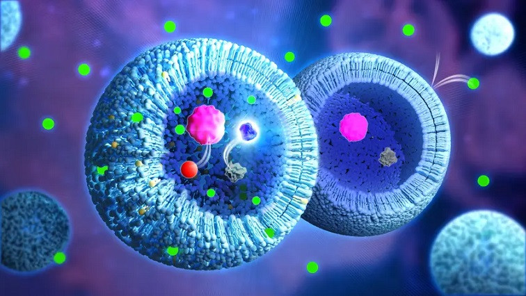 Artificial Cells with Pores