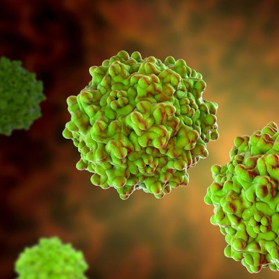 New Method Could Improve Manufacturing of Gene-therapy Drugs