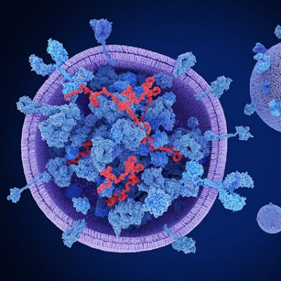mRNA Delivered by Extracellular Vesicles Induces Immunotherapy Response in Glioblastoma