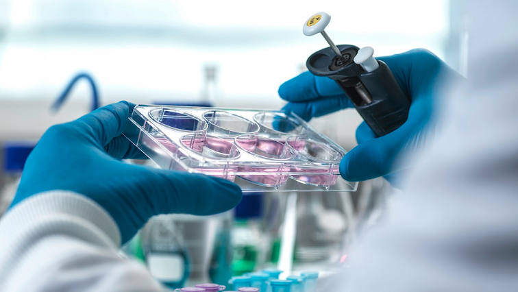 Nanovaccine Shows Great Promise for Treating HPV-related Cancers