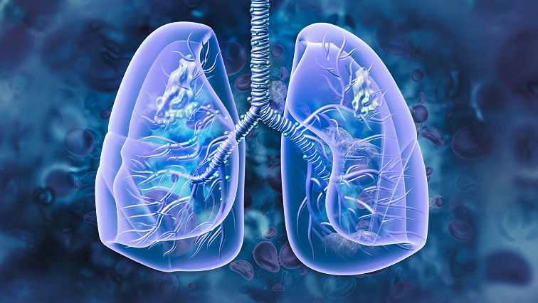 Swimming Microrobots Deliver Cancer-fighting Drugs to Metastatic Lung Tumors in Mice