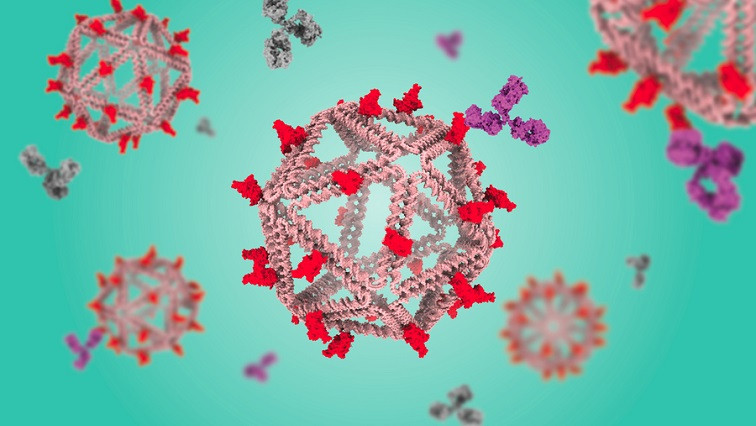 DNA Particles That Mimic Viruses Hold Promise as Vaccines