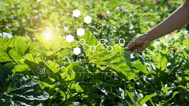Better Farming Through Nanotechnology