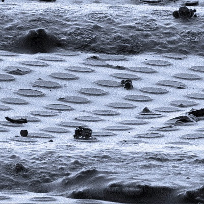 First Realistic Portraits of Squishy Layer That’s Key to Battery Performance