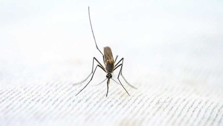 New Approach in the Battle Against Malaria