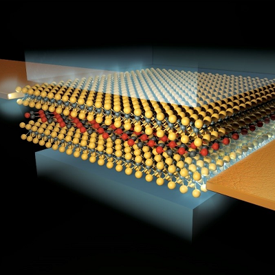 The Covalent Connection Between 2D Materials Improves Device Optoelectronic Response