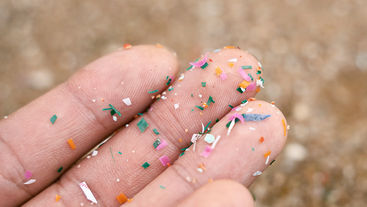 Scientists Discover How Nanoplastics Disrupt Brain Energy Metabolism