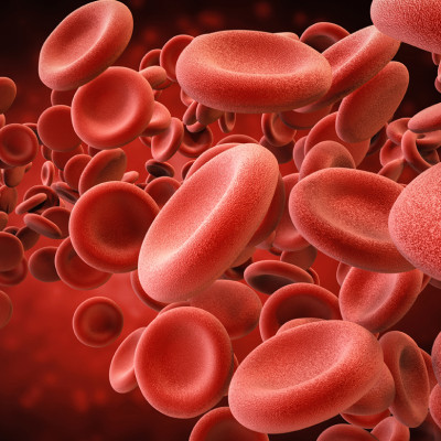 Particles Released by Red Blood Cells Are Effective Carriers for Anti-cancer Immunotherapy