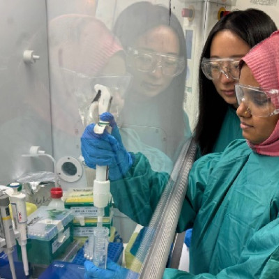 Tiny Metal Particles Show Promise for Targeted Cancer Treatments