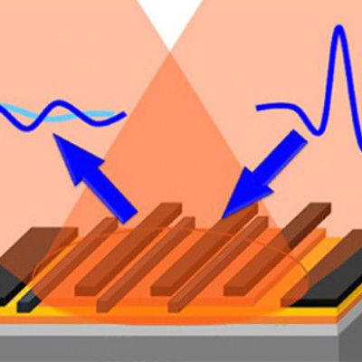 Paving the Way for Tunable Graphene Plasmonic THz Amplifiers