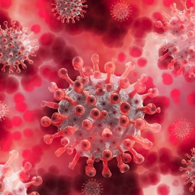 New Research Demonstrates the Ability of ADDomer™ to Tackle Viral Infections