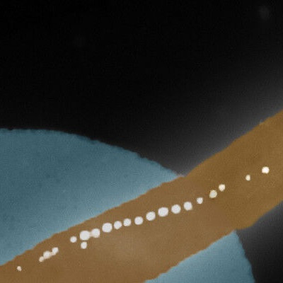Bacteria with Built-in Compass
