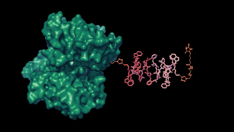 New MRI Nanoprobe Technology from MIT Could Track Neurochemicals Across the Brain