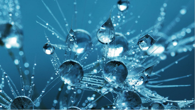 Scientists Reveal How Gas Nanobubbles Accelerate Solid-Liquid-Gas Reaction