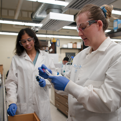 Sugar-coated Nanoparticles Could Target Deadly Breast Cancer