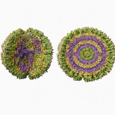 Scientists Rethink How to Pack Medicine into Tiny Delivery Capsules