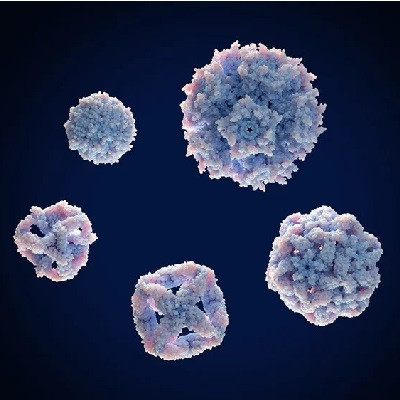 Unlocking Precise Composition Analysis of Nanomedicines