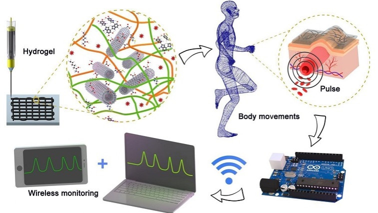 Bioinspired Nanocomposite Hydrogel Enables Real‑Time Monitoring of Human Motion