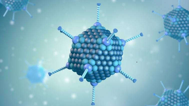 Adenovirus-based Nanoparticle Vaccine Elicits Potent SARS-CoV-2 Neutralizing Antibody Response