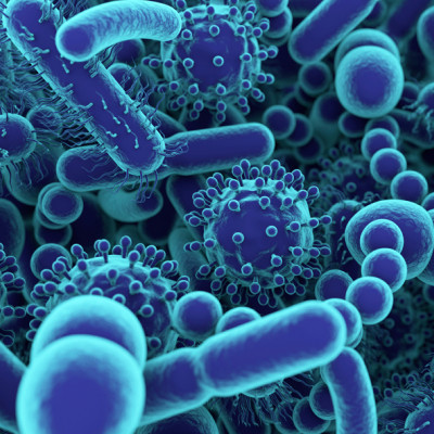 Graphene Sensors Can Detect Bacterial Pathogens