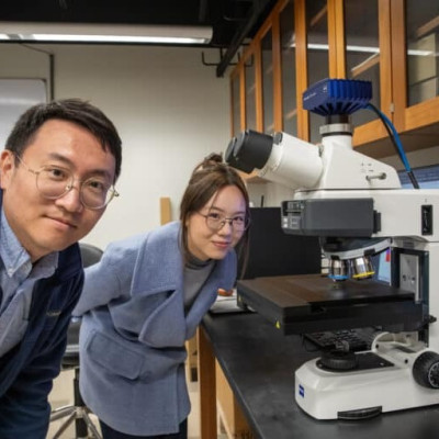 Welcome Your New Lab Mate: Artificial Intelligence