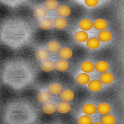 2D Layer of Phosphorus Pentamers Shows Semiconductor Properties on Silver Surface