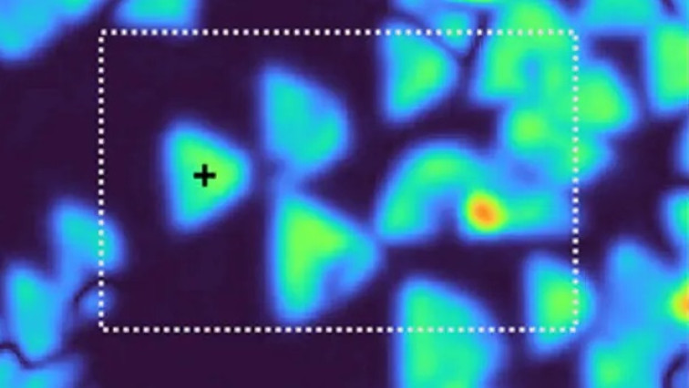 New Microscope Can Image an Invisible 2D Material
