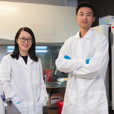 Researchers Use Nanotubes to Improve Blood Flow in Bioengineered Itssues