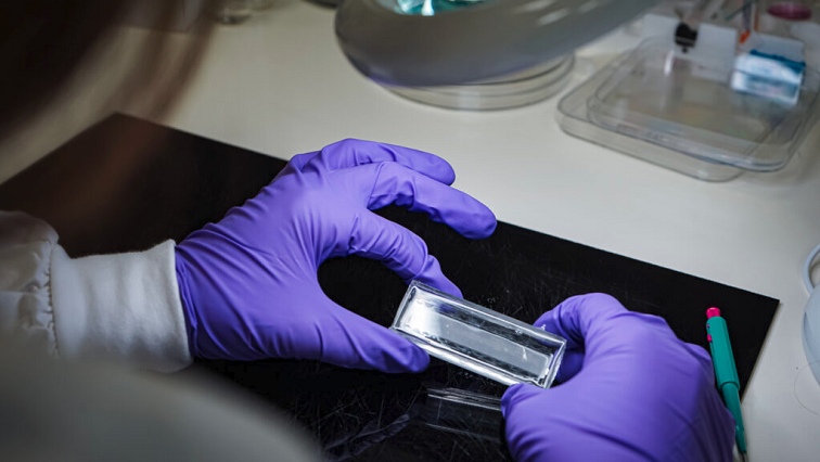 Nanostars Push SERS Sensing to New Performance Levels