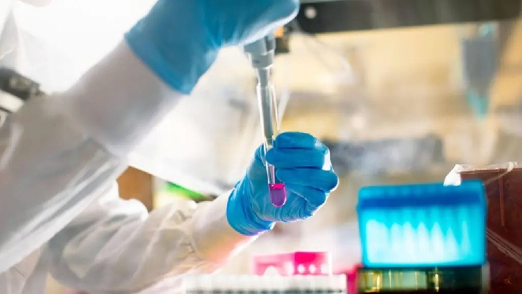 Mayo Clinic Researchers Use Milk-Derived Nanoparticles to Target Aggressive Bile Duct Cancer