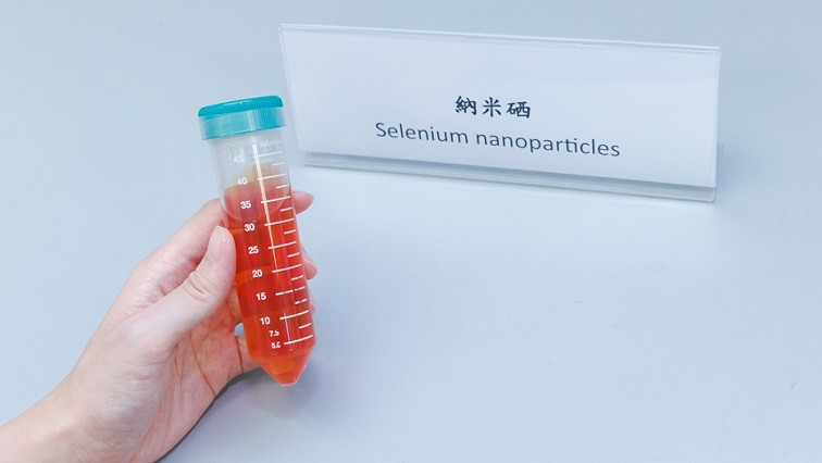PolyU Researchers Develops Novel Selenium Nanoparticles for Managing Postmenopausal Osteoporosis