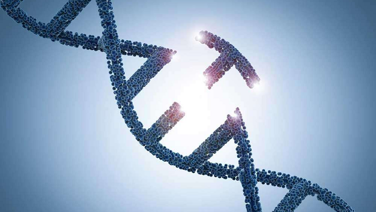 Nanostructures Boost CRISPR Delivery for Genetic Medicine