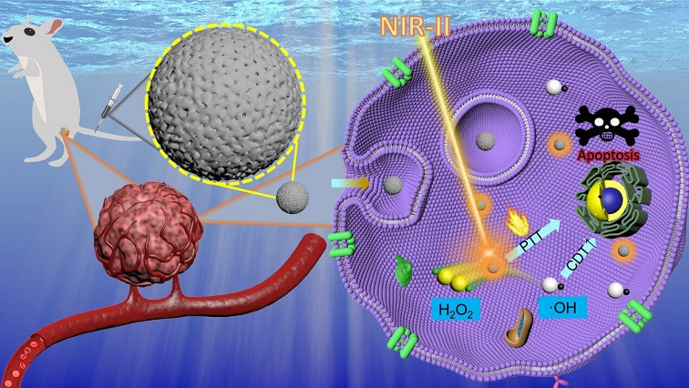 New Iron-doped Carbon Based Nanoparticles Boost Cancer Treatment with Enhanced Precision and Safety