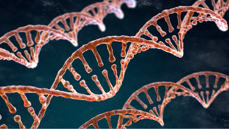 The Emergence of Form: Study Expands Horizons for DNA Nanotechnology