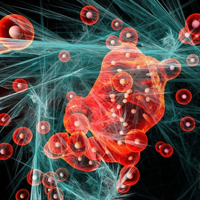 Scientists Develop Novel Nanoparticles That Could Serve as Contrast Agents