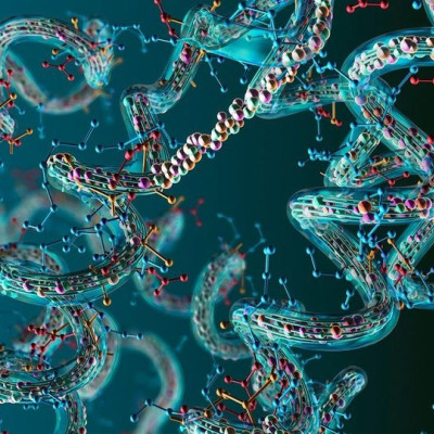 New Immobilization Strategy Enables Reliable Surface Plasmon Resonance Analysis of Membrane Proteins