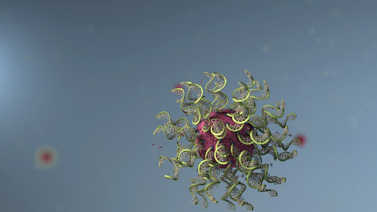 Structure Dictates Effectiveness, Safety in Nanomedicine