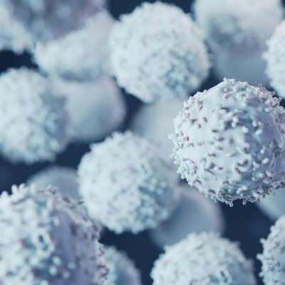 Identifying Mechanisms Supporting Nanoparticle Therapy for Autoimmune Diseases