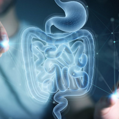 Living Sensors Probe Mysteries of the Gut