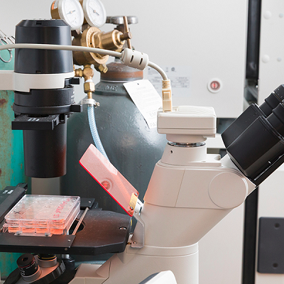 Spinning Bioreactors Boost Tiny Healing Particles for Cheaper Targeted Medicine