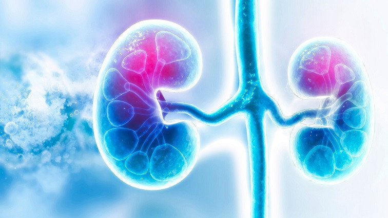 Inhaling Silica Particles May Cause Kidney Disease