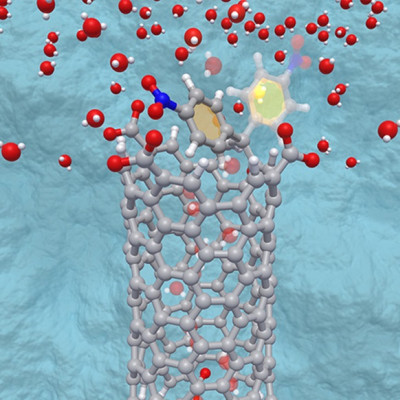 Nanotubes with Lids Mimic Real Biology