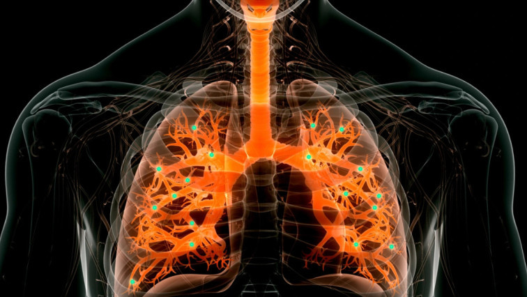 Nanoparticles Target Lung Disease